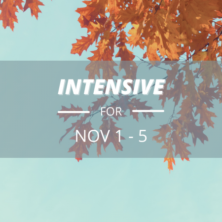 Nov 1 Intensive Format